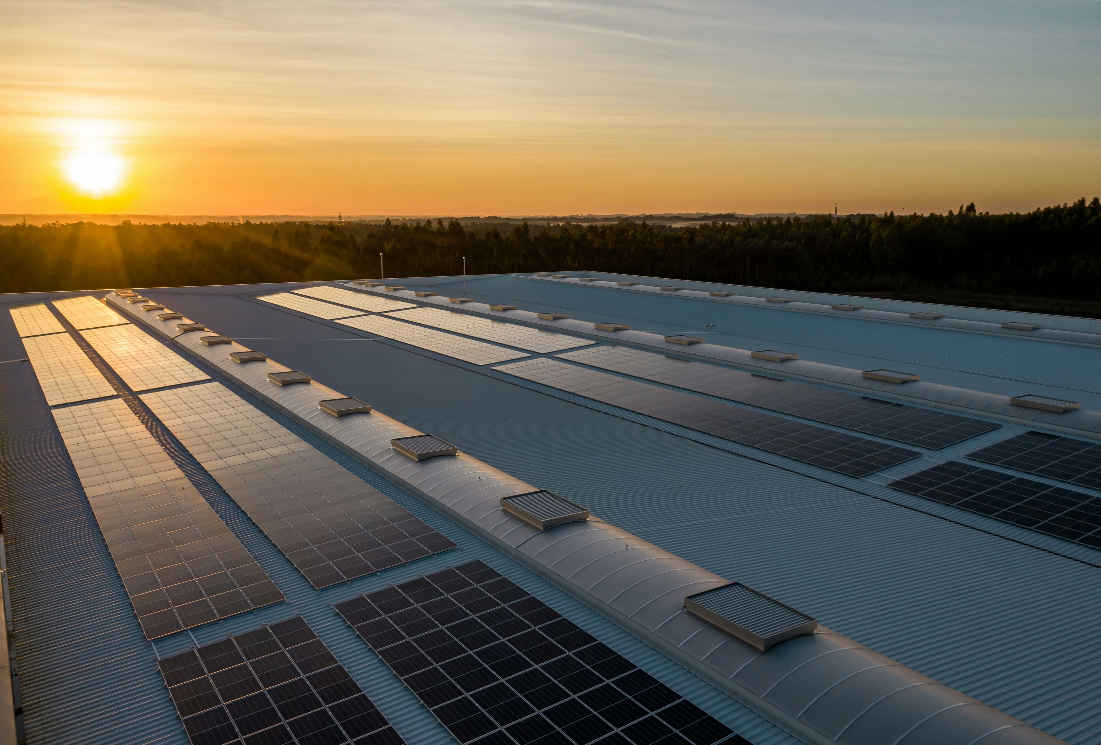 Sistemas fotovoltaicos y energía renovable